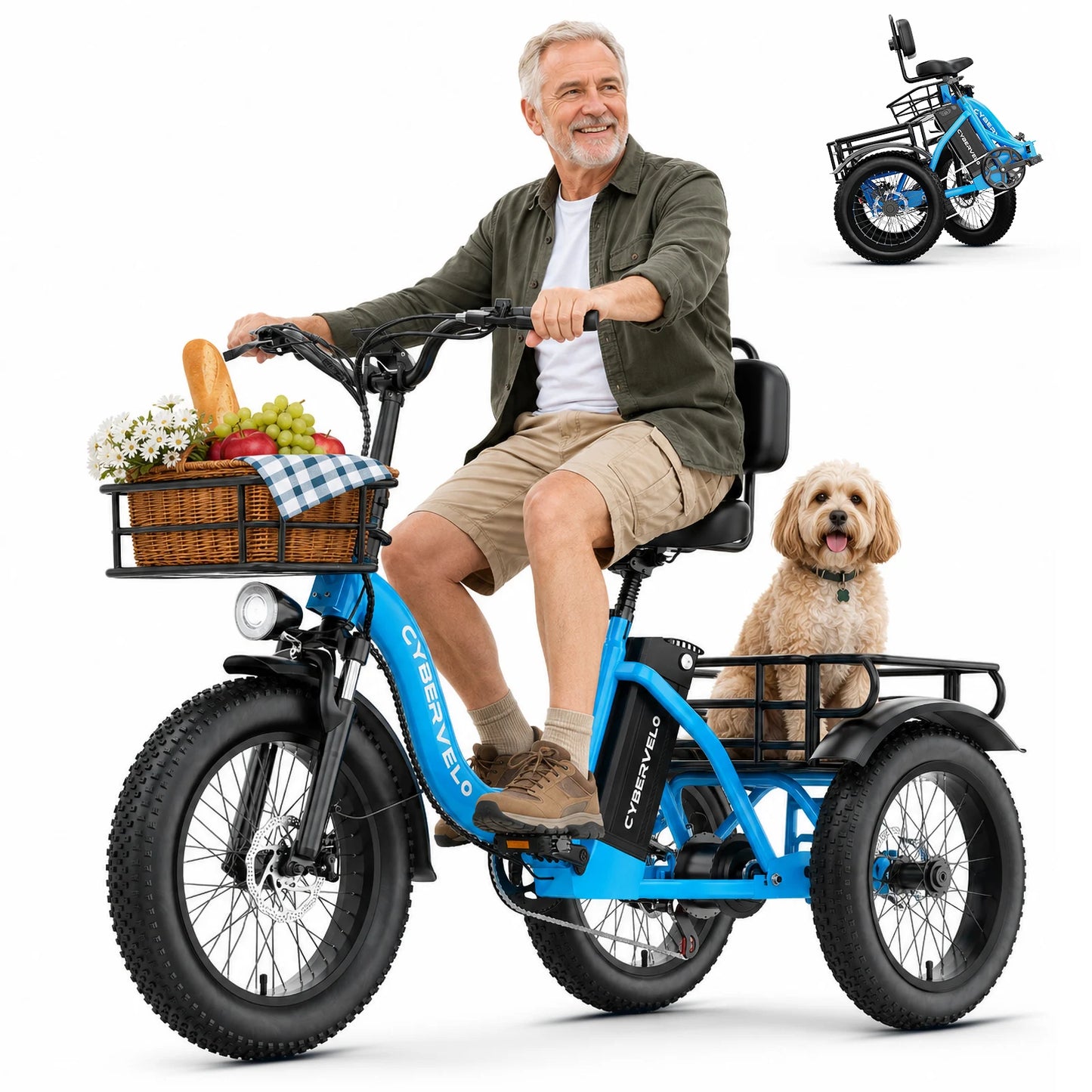 Cybervelo C16 Adult Folding Electric Tricycle With Fat Tires