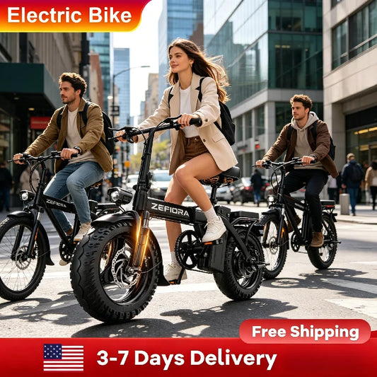 Zefiora 48V Lithium Battery Electric Bike With 500W Motor
