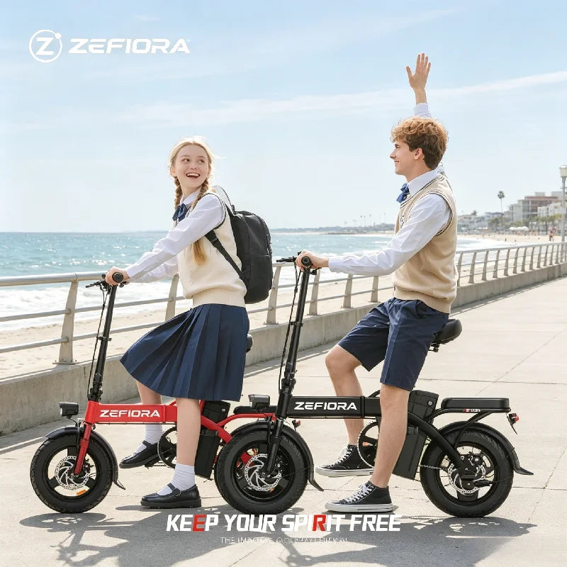 Zefiora 48V Lithium Battery Electric Bike With 500W Motor